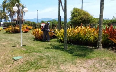 Controle de Pragas Domésticas na Grande Florianópolis