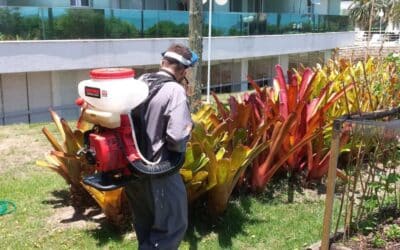Dedetização em Condomínios Residenciais em Florianópolis: Proteja o Bem-Estar dos Moradores